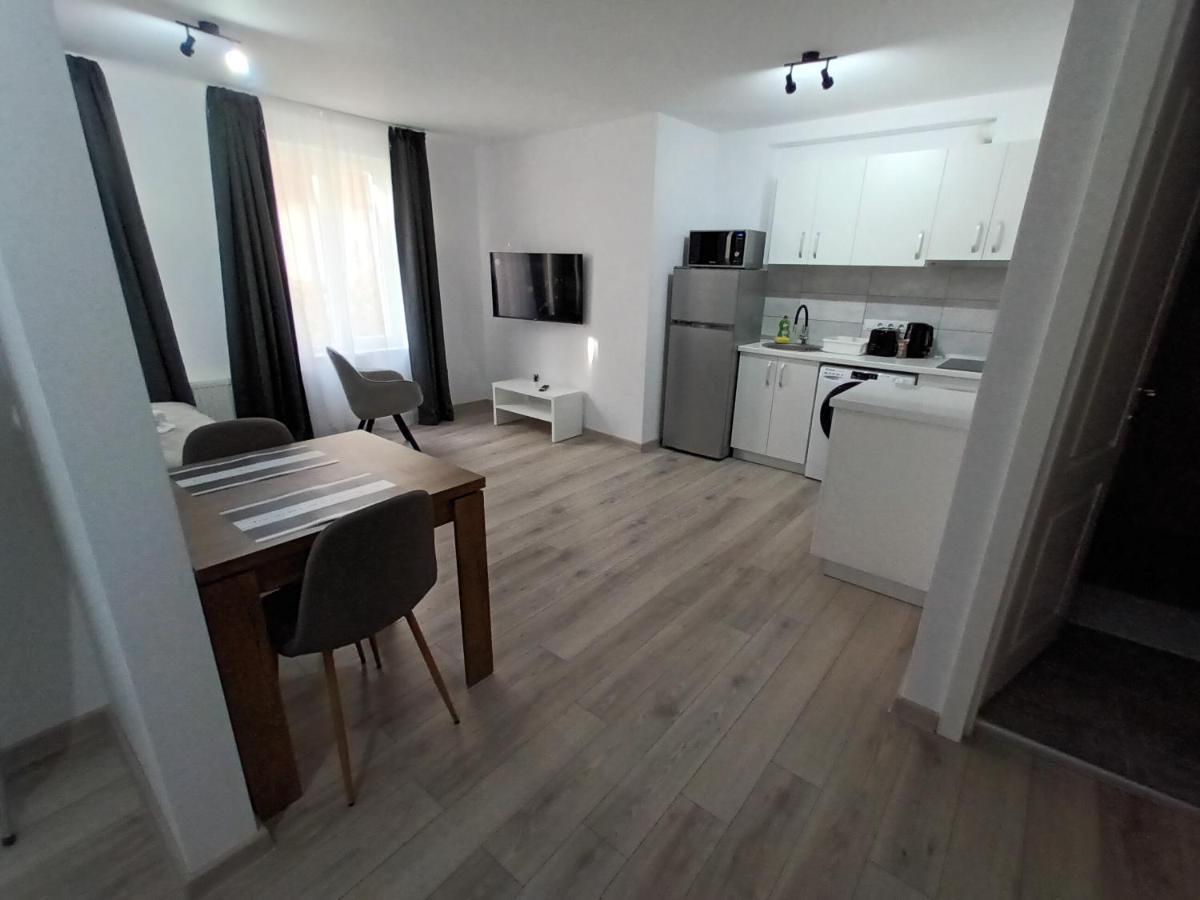 Old Town Studio Apartments Baia Mare Exterior photo